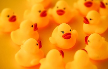 O que é ser líder para você?